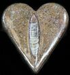 Heart-Shaped Fossil Orthoceras Box - Stoneware #35283-1
